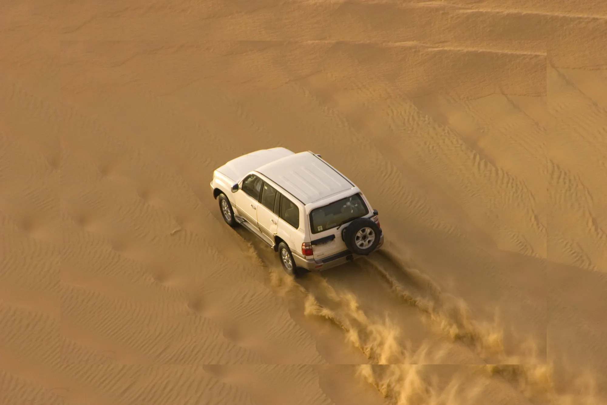 Book an Online Desert Safari Tour in Dubai 2025