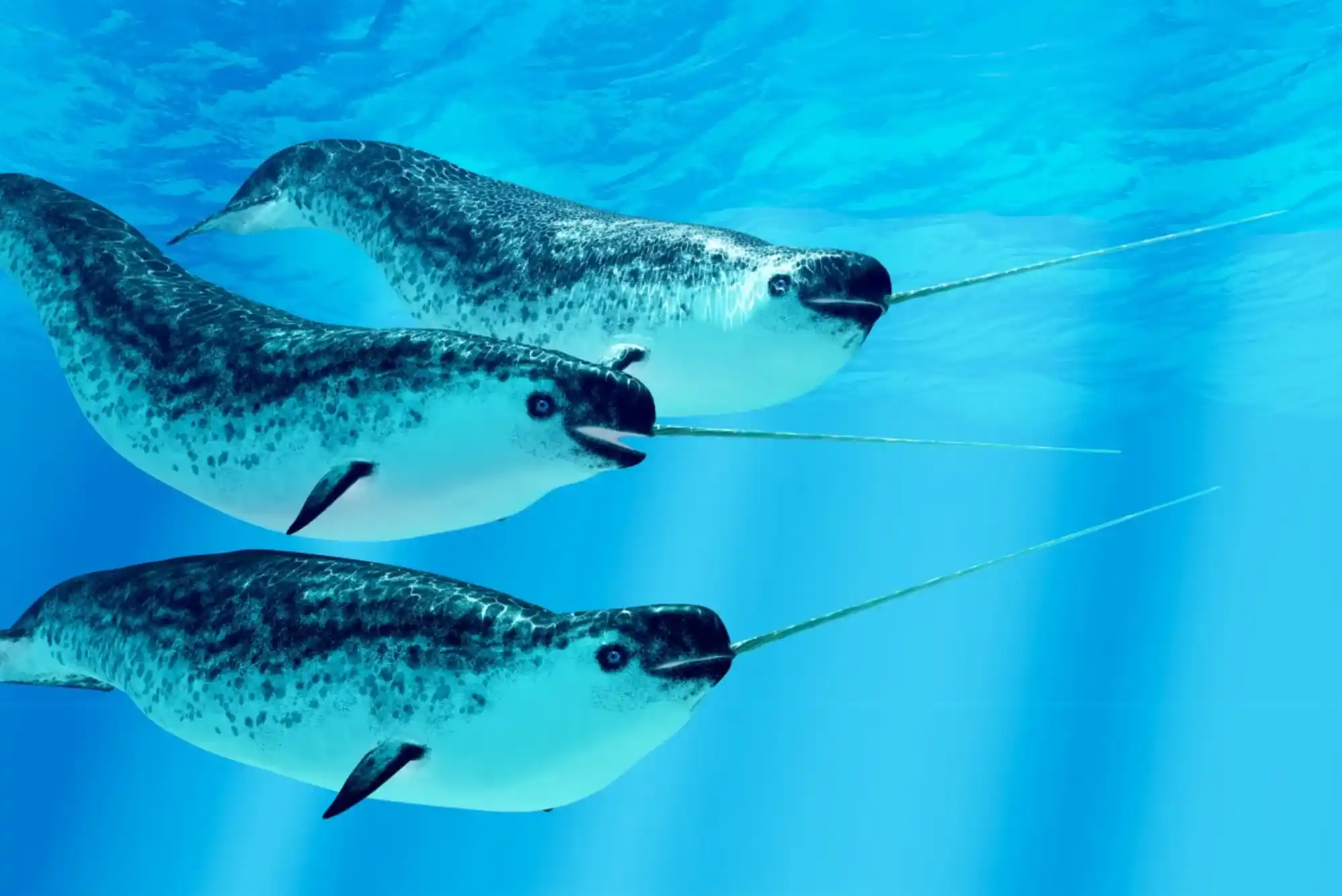 Expert Tips on How Scientists Count Fish in the Ocean