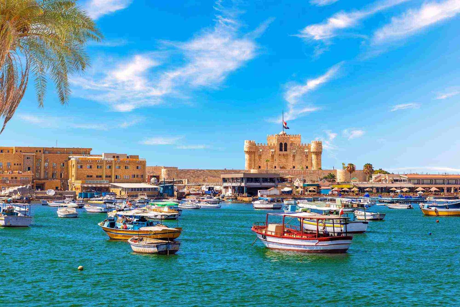 شركات سياحة في الاسكندرية