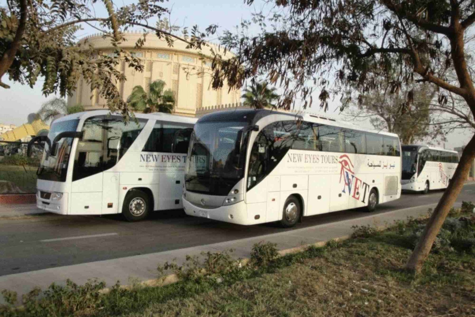 New Eyes Travel نيو آيز للسياحة