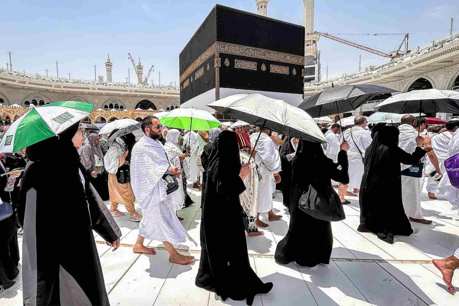 نتيجة قرعة الحج السياحي