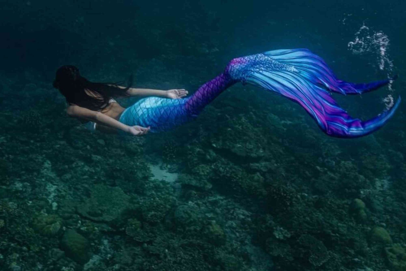 ميرميد للسياحة