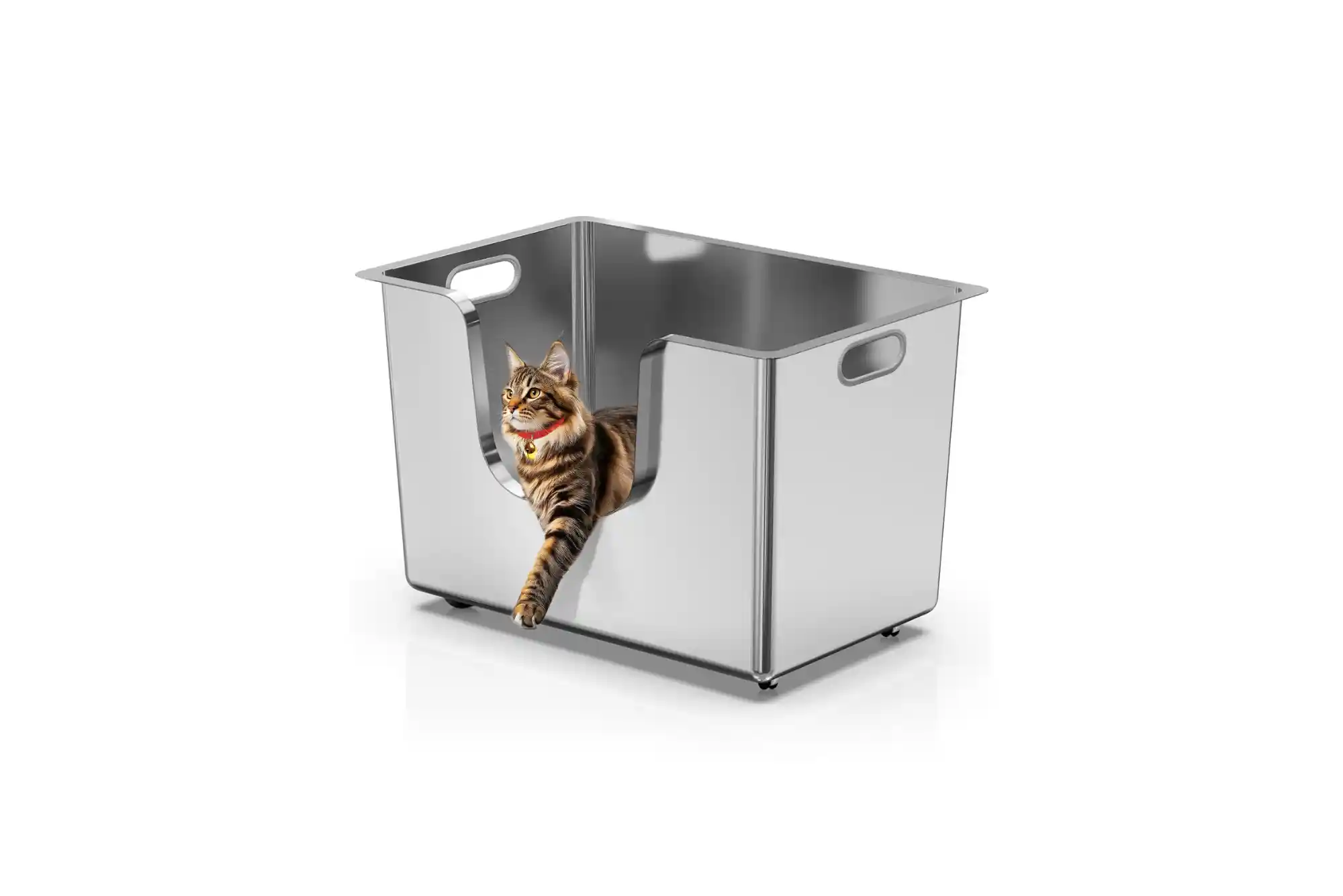 Best Top-Entry and High-Sided Litter Boxes for Cats That Kick Litter and High Pee-ers